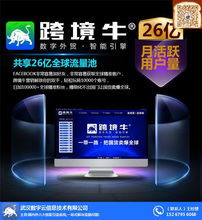 跨境引流系統 外貿企業獲取流量的關鍵軟件服務